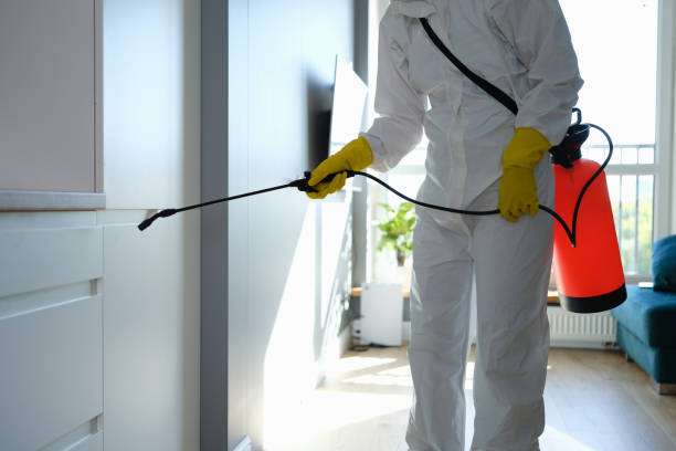 Best Emergency Mold Remediation  in Oak Trail Shores, TX